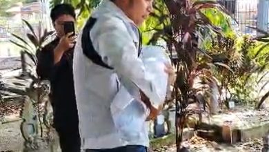 Photo of 1岁大男童昏迷不治 警扣母亲及保姆助查