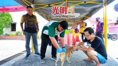 Photo of 【男子被咬感染狂犬病逝世】吉兽医局：遗骸剩骨头毛发 涉案狗无法验狂犬病毒