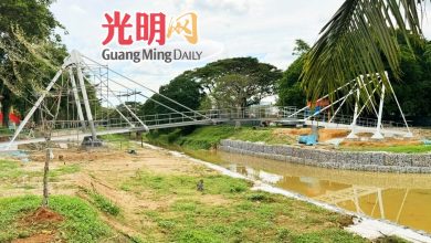 Photo of 工程完成80% 10月杪竣工 太子湖行人桥料11月启用