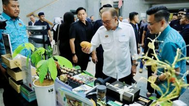 Photo of 安华:建议财案拨逾2.8亿 落实次期油棕重植计划