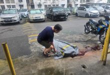 Photo of 81岁老妇跌倒遭车辗毙 肇祸司机逃逸