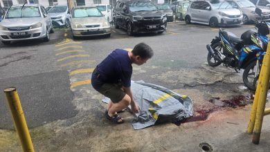 Photo of 81岁老妇跌倒遭车辗毙 肇祸司机逃逸
