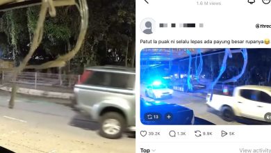 Photo of 网传警车“护送”偷电缆车 MCW促查清真相