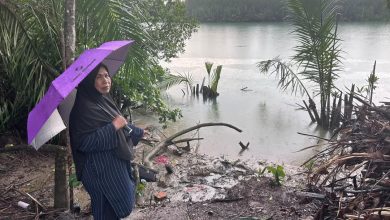 Photo of 5岁女童被抛河亡 | 5岁孙女突然失踪 祖母河边寻获遗体