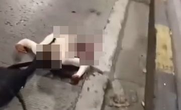 Photo of 女骑士失控撞护栏 惨遭拦腰斩断