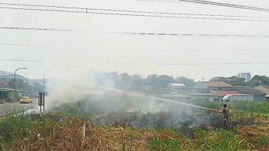 Photo of 永安镇高压电缆丛林起火 消拯员及时扑灭