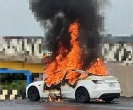 Photo of 电动车突起火燃烧 男子困车内烧成焦尸