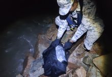 Photo of 600烟弹疑含“飘飘” 毒贩见执法艇弃船逃