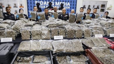 Photo of 雪25天破9贩毒集团 起3340万元大麻花捕12人