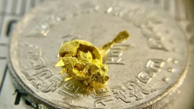 Photo of 台雕刻家0.3公分黄金鱼 微雕反思战争与自由