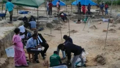 Photo of 斯里兰卡火葬场挖出572具骸骨含婴童 疑涉内战期间法外处决埋葬