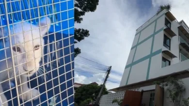 Photo of 泰国非法酒店只接中国客 中国女子偷养白狮遭查
