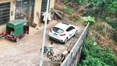 Photo of 男孩骑自行车失控撞墙 翻下4公尺高坎竟无大碍