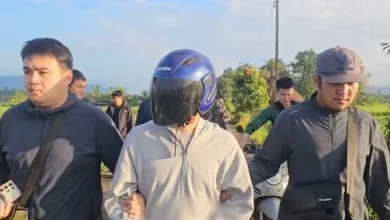 Photo of 偷南瓜事件变命案 青年抓贼反变杀人嫌犯
