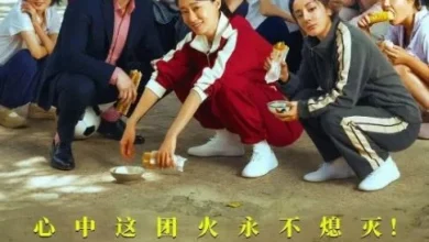 Photo of 中国2026暑期档票房 《功夫女足》创新高登顶