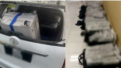 Photo of 车祸揭运毒 司机弃车逃 警起600万元大麻花