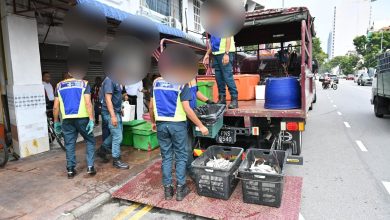 Photo of 无牌经营又霸占人行道 中路3店遭查封