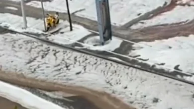 Photo of 中国内蒙古突降冰雹 20分钟内街道成“冰河”