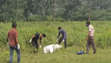 Photo of 17岁少女遭4男性侵杀害  遗体弃空地被流浪狗啃食