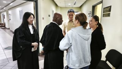 Photo of 11岁女童被狗咬伤毁容 狗主需赔逾51万及堂费