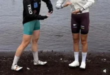 Photo of 晒富士山脚下抓天鹅照惹众怒　疑似涉事者称照片是AI生成