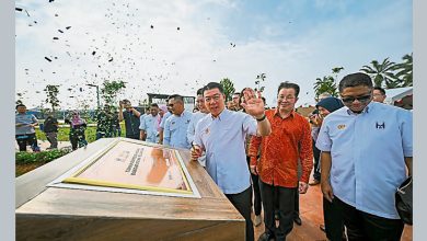 Photo of 安顺PR1MA新市镇 昌明大马休闲公园开幕