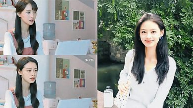 Photo of 换脸郑爽惹轰毁经典《一笑倾城》新女主道歉认已退圈