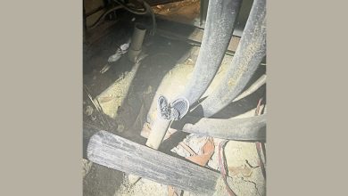 Photo of 电箱供电电缆被剪断偷走 1.4公里路灯全灭