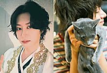 Photo of SJ希澈痛失20岁爱猫