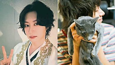 Photo of SJ希澈痛失20岁爱猫