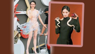 Photo of 【芭莎之夜】戚薇站小推车秀16kg战袍 李一桐白蛇缠颈登热搜
