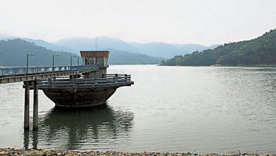 Photo of 维修提升滤水站 芙蓉林茂波德申今分阶制水