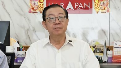 Photo of 出席中委会议谈纳吉特赦? 林冠英: 你要问秘书长