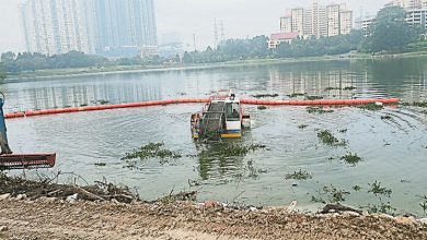 Photo of 隆市局清理环境 公园湖泊恢复清澈