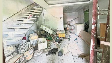 Photo of 武吉卡迪花园空屋引蛇虫 居民反映促尽速处理
