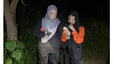 Photo of 2女登山迷路受困 　消拯队及时寻获护下山