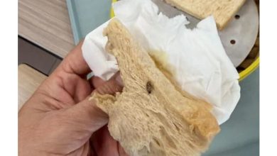 Photo of 食客申诉面包有蟑螂 摊贩查监控称无异常