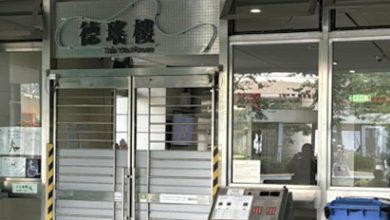 Photo of 20多次击打头颈脸还踩腹 !女佣涉虐死93岁妇被捕