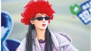 Photo of 学费刚交说倒就倒 金晨赴美游学踩雷