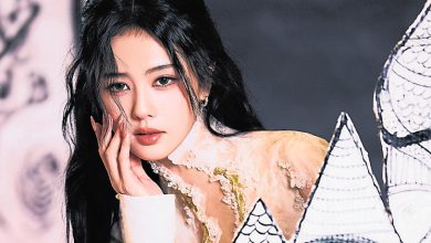 Photo of 泰见面会掀治安风险 白鹿替粉丝买单全赔