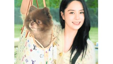 Photo of 阿娇1.7万名牌包塞宠物犬  “做狗好过做人”