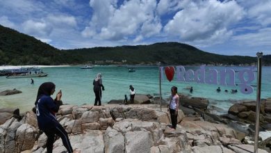 Photo of 国会〡 海水升温珊瑚白化 6岛珊瑚礁生态恶化