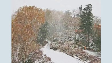 Photo of 现枫雪交织奇景 北海道最高峰旭岳迎初雪