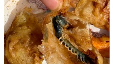 Photo of 炸鸡吃出整条蜈蚣!顾客索赔1000元 店家:不合理