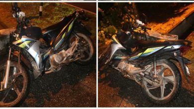 Photo of 雨夜撞牛被抛飞　骑士当场丧命