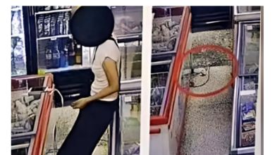 Photo of 女拔商店冰箱插头充手机 冰淇淋融化挨轰自私