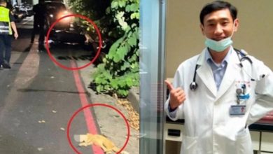 Photo of 名医赶回医院救人车祸亡 妻看监视器痛心：有人经过竟不救