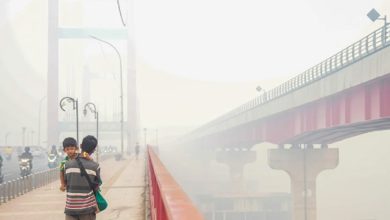 Photo of 复燃隐患仍在! 印尼林火热点骤减 环保组织警示仍须加紧防范