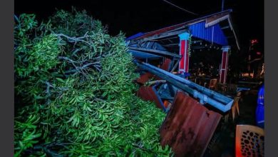 Photo of 暴风雨侵袭 大树砸倒屋顶2人重伤