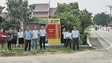 Photo of 路旁荒地树枝遮挡视线 驾驶者出路口添风险